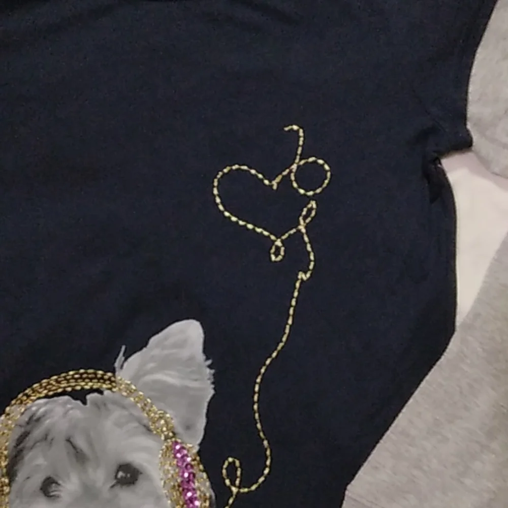 GapKids Girl's Long Sleeve Shirt.  Sequins..  Blue and Gray.